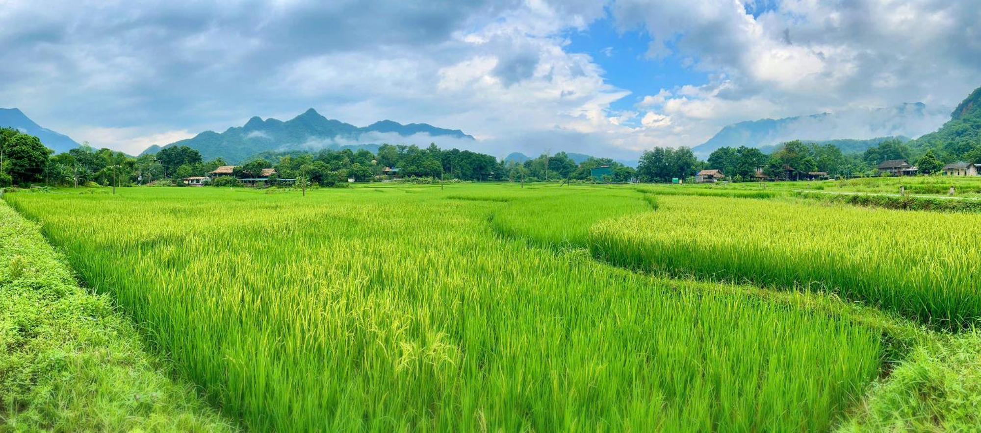 Mai Chau Sky Resort Luaran gambar
